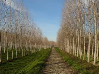Il percorso verso Sergnano